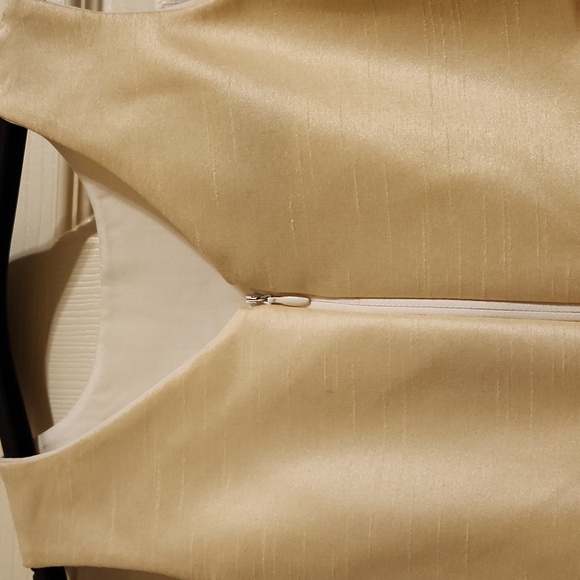 NWT fiveloaves twofish champagne-colored dress with Christmas shopper, lined - Picture 7 of 10